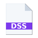 .DSS icon