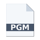 .PGM icon